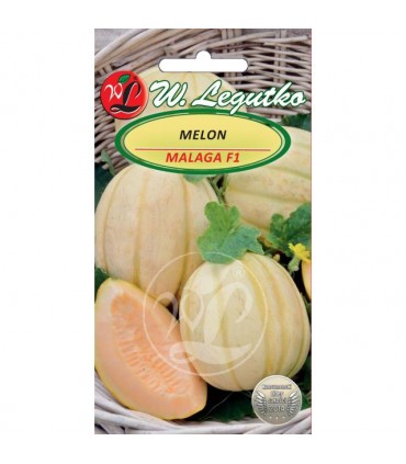 LW - MELON MALAGA F1 0,5g /4/