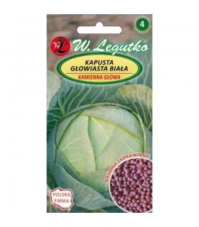 LWZ KAPUSTA KAMIENNA GŁOWA 2g zapr. /2/