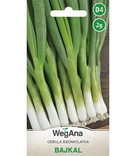 W CEBULA SIEDMIOLATKA BAJKAL 2g /D4/