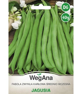 W FASOLA SZPARAG. ZIELONA JAGUSIA 40g /D6/