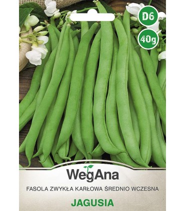 W FASOLA SZPARAG. ZIELONA JAGUSIA 40g /D6/