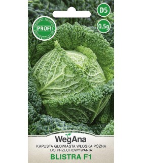 W KAPUSTA WŁOSKA BLISTRA F1 0,5g /D5/