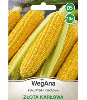 W KUKURYDZA CUKR. ZŁOTA KARŁOWA 20g /D5/
