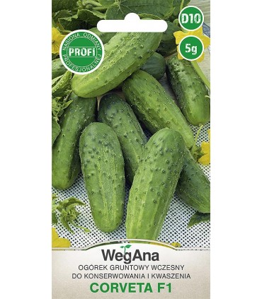 W OGÓREK KONS. CORVETA F1 3g /D8/