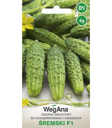 W OGÓREK KONS. ŚREMSKI F1 4g /D9/