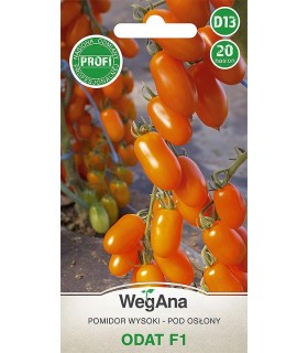 W POMIDOR ODAT F1 20n /D13/
