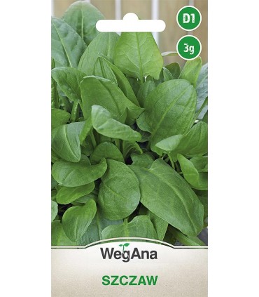 W SZCZAW 3g /D1/