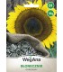 W SŁONECZNIK JADALNY 10g /D1/