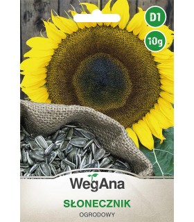 W SŁONECZNIK JADALNY 10g /D1/