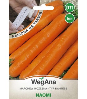 W TAŚMA MARCHEW NAOMI 6m /D11/