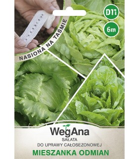 W TAŚMA SAŁATA MIESZANKA ODMIAN 6m /D11/