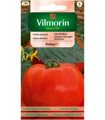 V - POMIDOR SZKLARN. PERKOZ F1 0,2g (5)