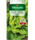 V - SAŁATA MASŁOWA JUSTINE 0,5G (3)