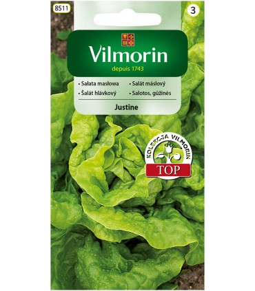 V - SAŁATA MASŁOWA JUSTINE 0,5G (3)