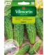 V - TAŚMA OGÓREK DALILA F1 7M (5)