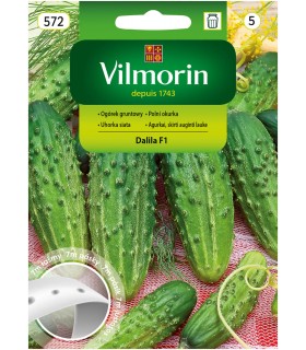 V - TAŚMA OGÓREK DALILA F1 7M (5)