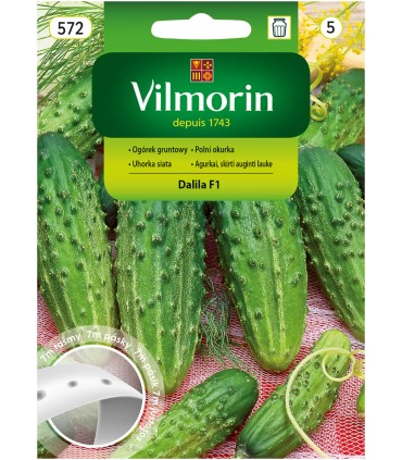 V - TAŚMA OGÓREK DALILA F1 7M (5)