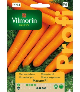VP - MARCHEW MAESTRO F1 2g (P5)