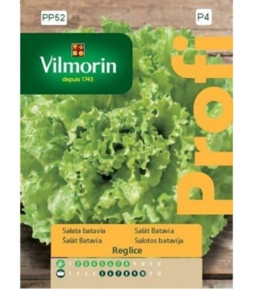 VP - SAŁATA LIRICE typ Batavia 0,5g (P4)