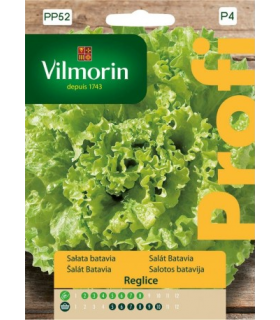 VP - SAŁATA SAGESS MASŁOWA 0,5g (P4)