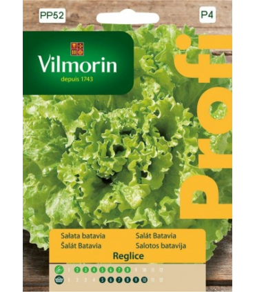 VPP - SAŁATA SAGESS MASŁOWA 0,5g (P4)