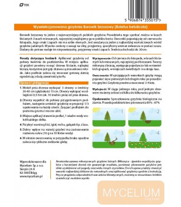 GRZYBNIA BOROWIK BRZOZOWY 10g