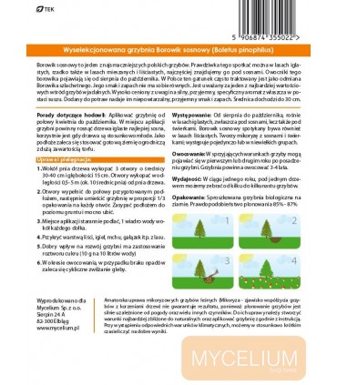GRZYBNIA BOROWIK SOSNOWY 10g