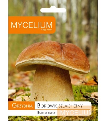 GRZYBNIA BOROWIK SZLACHETNY 10g