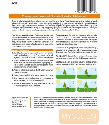 GRZYBNIA BOROWIK SZLACHETNY 10g