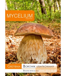 GRZYBNIA BOROWIK USIATKOWANY 10g