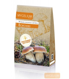 GRZYBNIA BOROWIKI 120ml