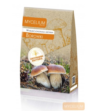 GRZYBNIA BOROWIKI 120ml