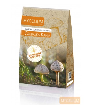 GRZYBNIA CZUBAJKA KANIA 120ml