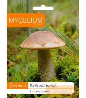 GRZYBNIA KOŹLARZ BABKA 10g