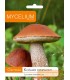 GRZYBNIA KOŹLARZ CZERWONY 10g
