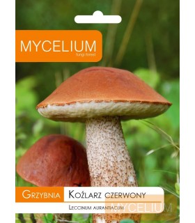 GRZYBNIA KOŹLARZ CZERWONY 10g