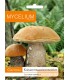 GRZYBNIA KOŹLARZ POMARAŃCZOWOŻÓŁTY 10g