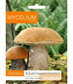 GRZYBNIA KOŹLARZ POMARAŃCZOWOŻÓŁTY 10g