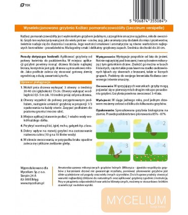 GRZYBNIA KOŹLARZ POMARAŃCZOWOŻÓŁTY 10g