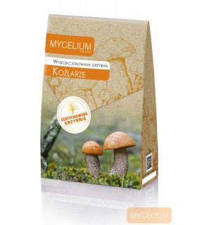 GRZYBNIA KOŹLARZE 120ml