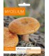 GRZYBNIA MLECZAJ RYDZ 10g