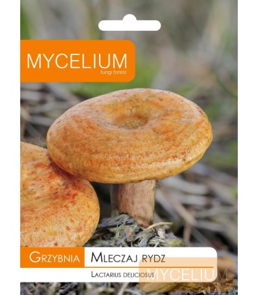 GRZYBNIA MLECZAJ RYDZ 10g