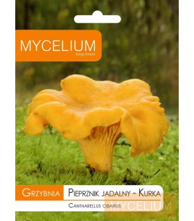 GRZYBNIA PIEPRZNIK JADALNY, KURKA 10g