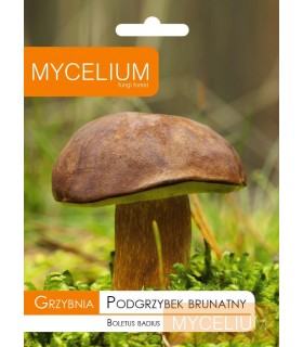 GRZYBNIA PODGRZYBEK BRUNATNY 10g