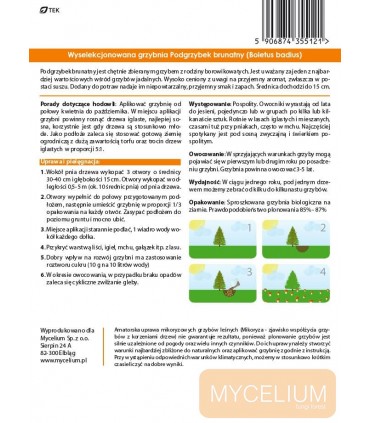 GRZYBNIA PODGRZYBEK BRUNATNY 10g