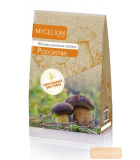 GRZYBNIA PODGRZYBKI 120ml