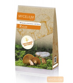 GRZYBNIA RYDZE 120ml