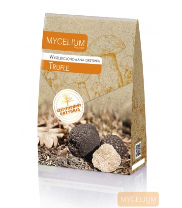 GRZYBNIA TRUFLE 120ml