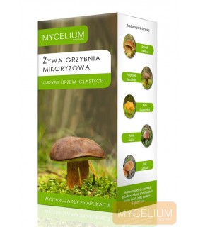 MIKORYZA GRZYBY DRZEW IGLASTYCH 250ml