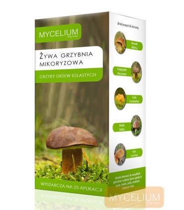 MIKORYZA GRZYBY DRZEW IGLASTYCH 250ml
